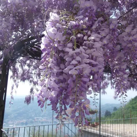 Nocleg ze śniadaniem Camera Con Vista *
